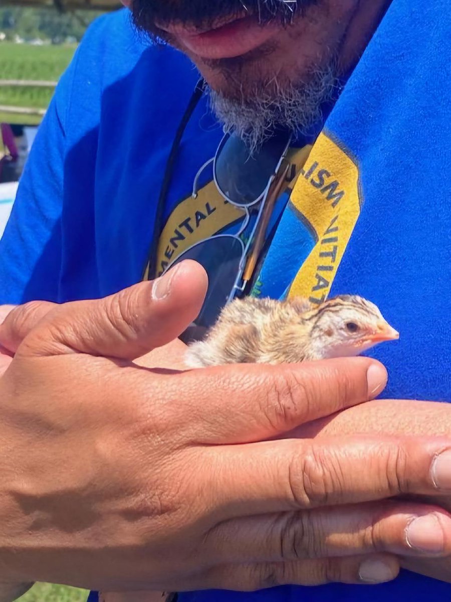 EJJI had a blast representing Baltimore at 2024 Community Ag Outreach in Fredericksburg VA this past weekend with our partners at <a href="/IAN_UMCES/">IAN</a>.
A big thank you to the Patawomeck Tribe for hosting us at the first year of many for this event!