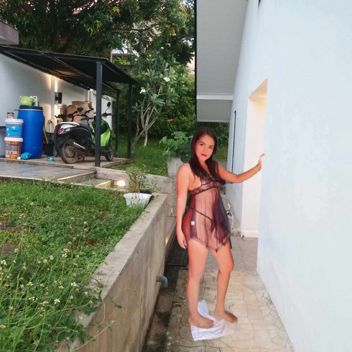 คุณนาย ตัวน้อย tweet media
