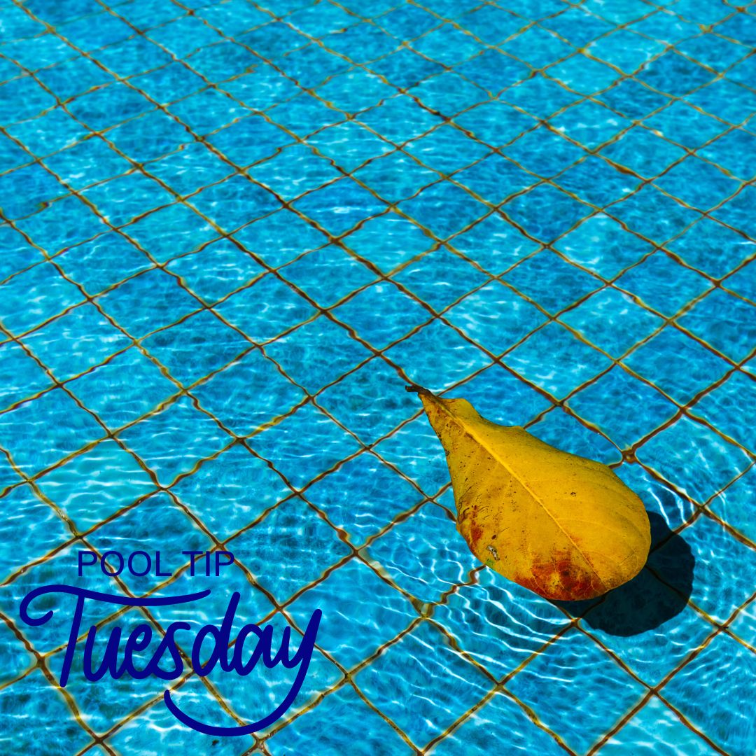 DistinctiveSwim's tweet image. Trim back the trees that hang over your pool so you can limit the amount of cleaning you have to do. #PoolTip 🍃