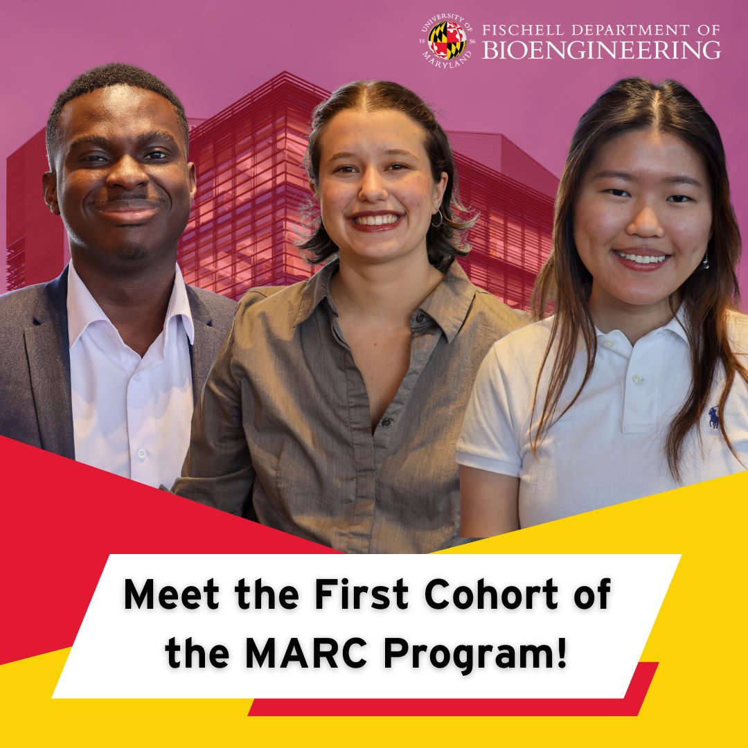 UMD Bioengineering tweet media