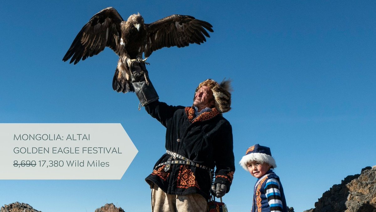 It's Double Wild Miles Month! ✌️

Book any group or tailor-made tour by 30 June 2024 and you'll earn twice as many Wild Miles, entitling you to future discounts FOR LIFE!
Check out more info about our Wild Miles Club and start planning your next adventure: bit.ly/WildMiles