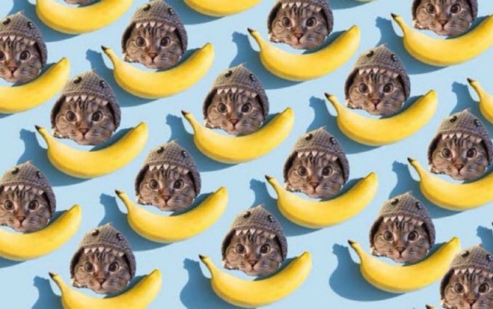 Feels like the banana zone is right around the corner $SC