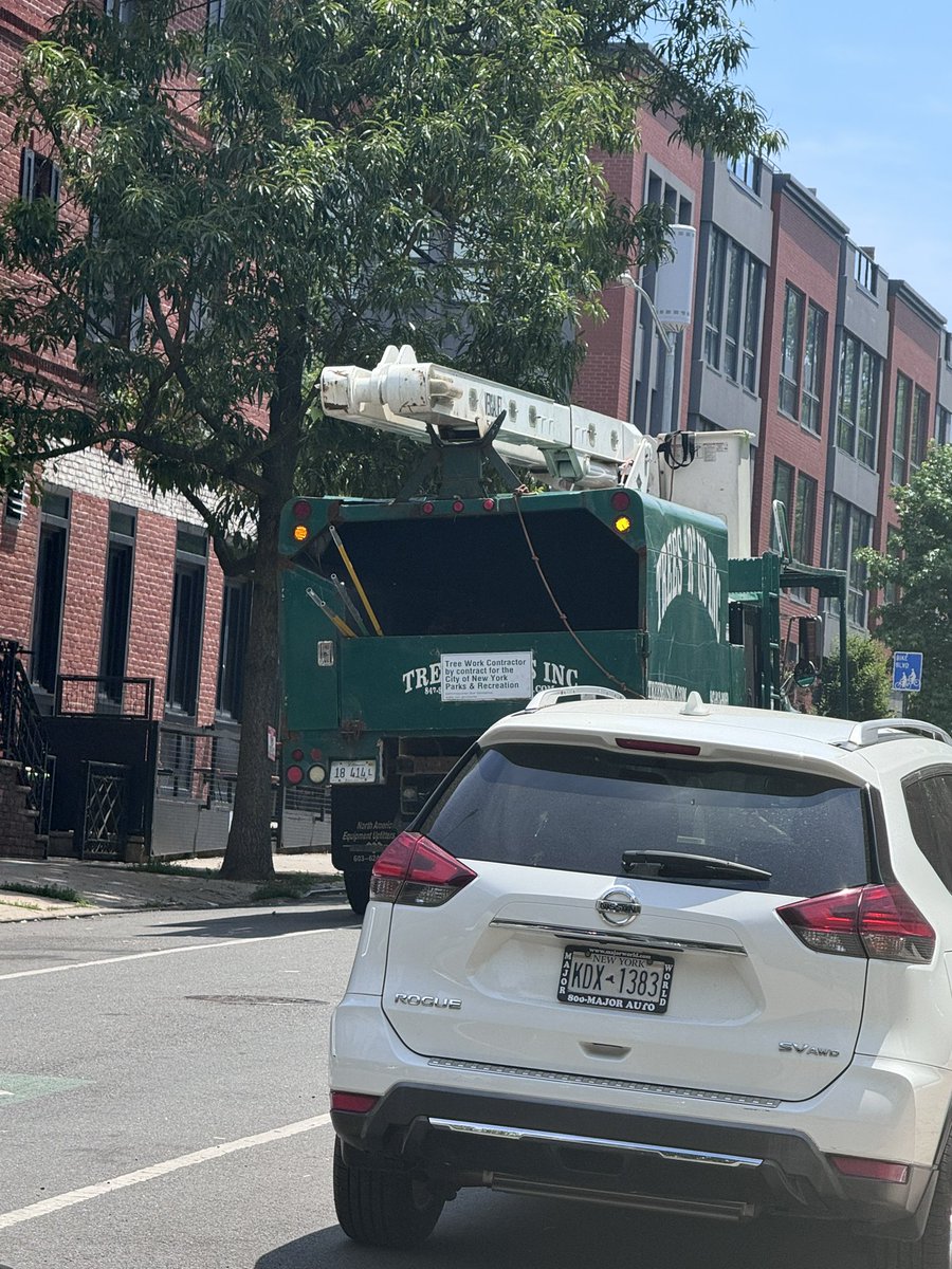 brklynbirder tweet media