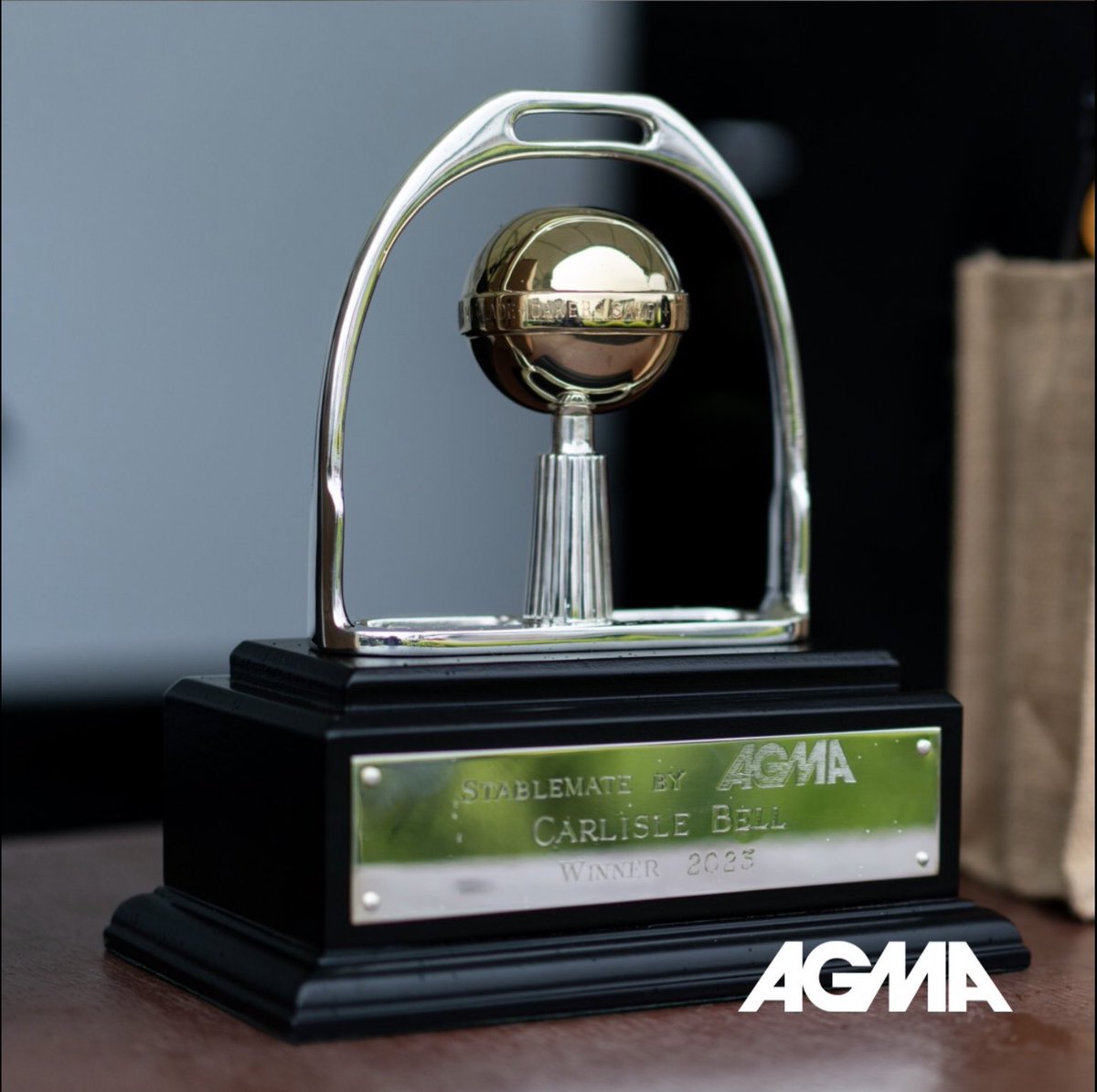 MaxineFranklin1's tweet photo. Later this month AGMA @stablemateagma are once again sponsoring the CarlisleBell & CumberlandPlate!We had a great event last year and are looking forward to another great days racing @CarlisleRaces
#CarlisleBell #BellandPlate #Stablemate #StablematebyAGMA https://t.co/L6MmPKqjwB