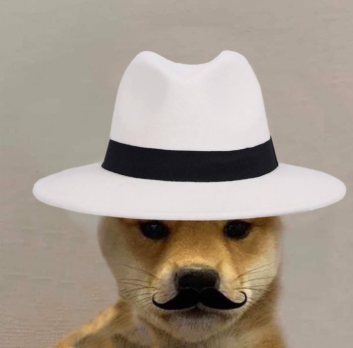 mafia_onsol's tweet photo. @free_electron0 Join da mafia legend

We cooka da pizza, we cooka da pasta https://t.co/uQENeMUKz5