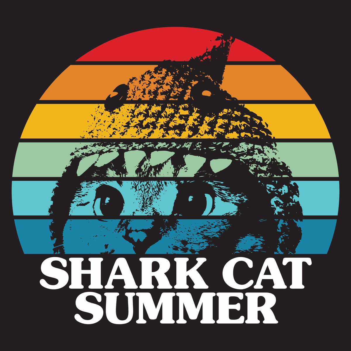SharkCatSolana's tweet photo. it’s going to be a shark cat summer 🦈🐱

$SC https://t.co/glhP52FVFw