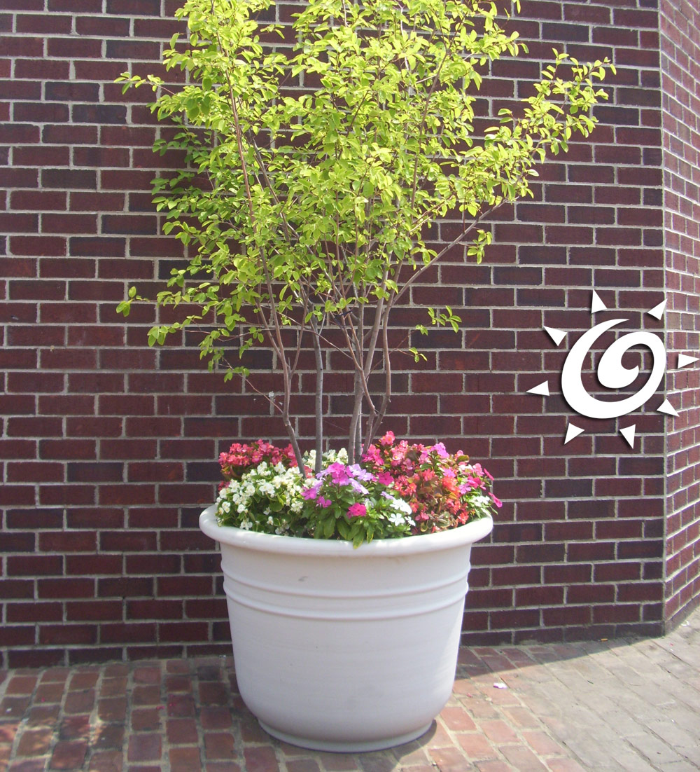 Starting at $44.00, available in 32 colors to match any landscape or patio decor.  bit.ly/2uSZEku  #ArizonaPottery #LightweightPlanters #PolyResin #RiversidePlastics #GardenPlanters #PatioPottery