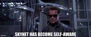 robboerman's tweet photo. So with ChatGPT, Claude, Gemini and Perplexity going down at the same time... can we assume SkyNet is doing system updates? #chatgpt #gemini #claude #perplexity #down https://t.co/LuVlEpeGp9