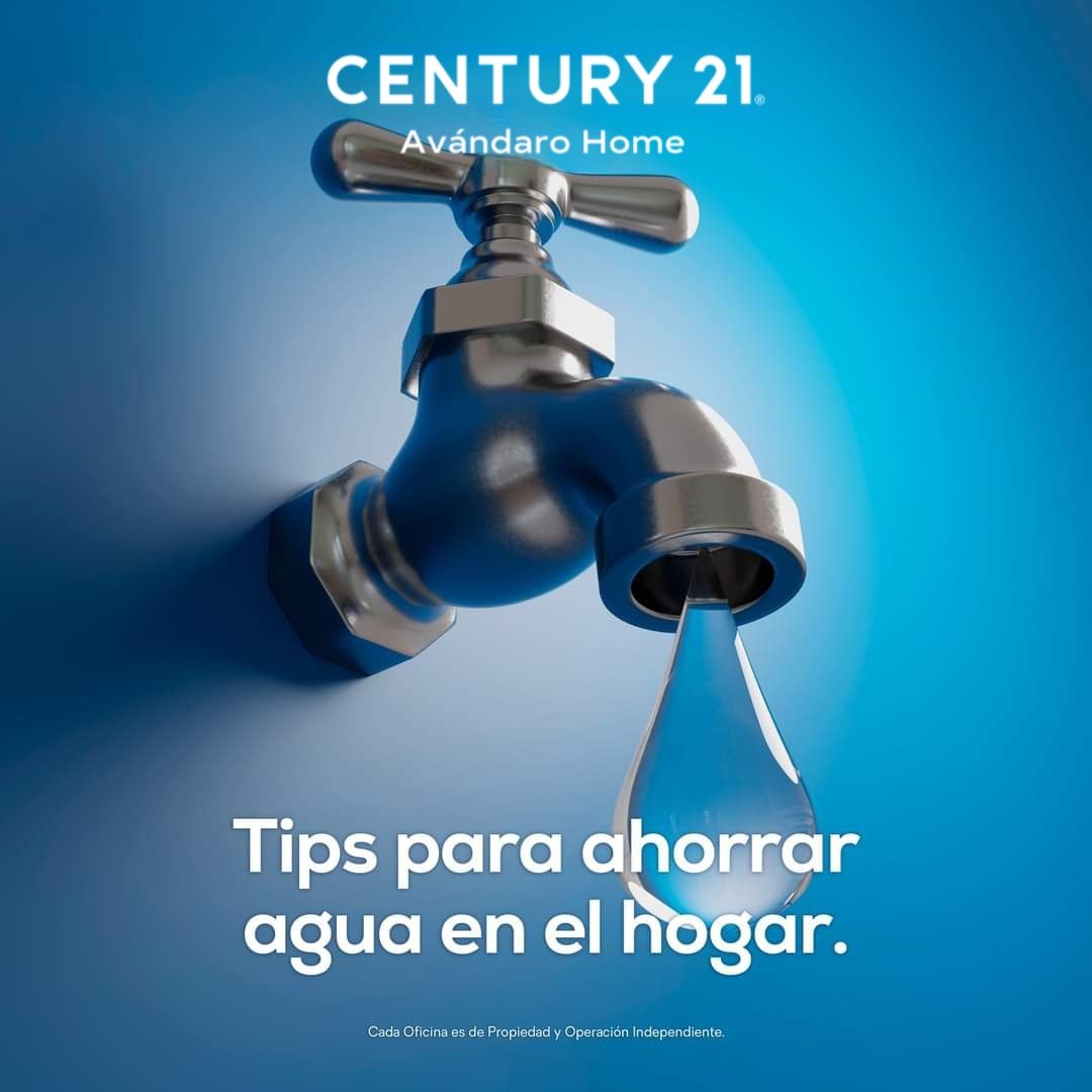 AvandaroHome's tweet photo. Simplifica tu vida y ahorra agua al mismo tiempo con estos consejos prácticos para ser más consciente mientras haces tus actividades diarias.

https://t.co/KeYH5ajLqJ 

#Century21AvandaroHome #AvandaroHome #Century21Valle #Century21 #AhorraAgua #AguaSiempre #CuidaElAmbiente https://t.co/43MnirFFwI