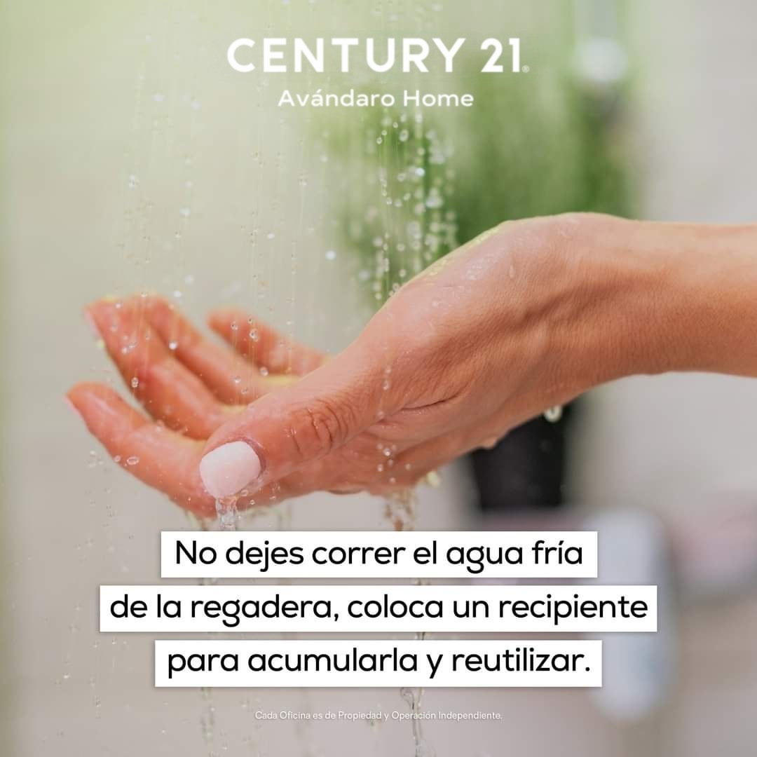 AvandaroHome's tweet photo. Simplifica tu vida y ahorra agua al mismo tiempo con estos consejos prácticos para ser más consciente mientras haces tus actividades diarias.

https://t.co/KeYH5ajLqJ 

#Century21AvandaroHome #AvandaroHome #Century21Valle #Century21 #AhorraAgua #AguaSiempre #CuidaElAmbiente https://t.co/43MnirFFwI