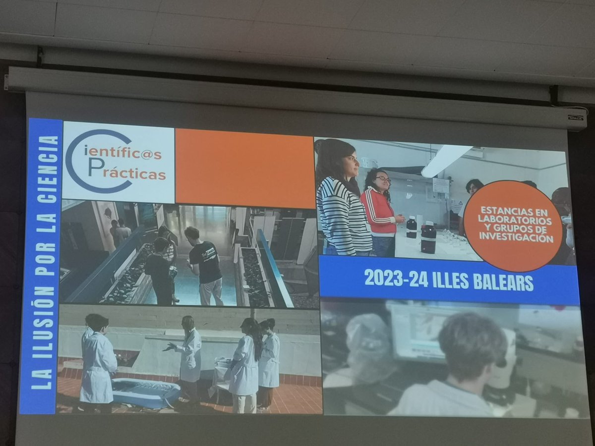 IES Son Rullan tweet media