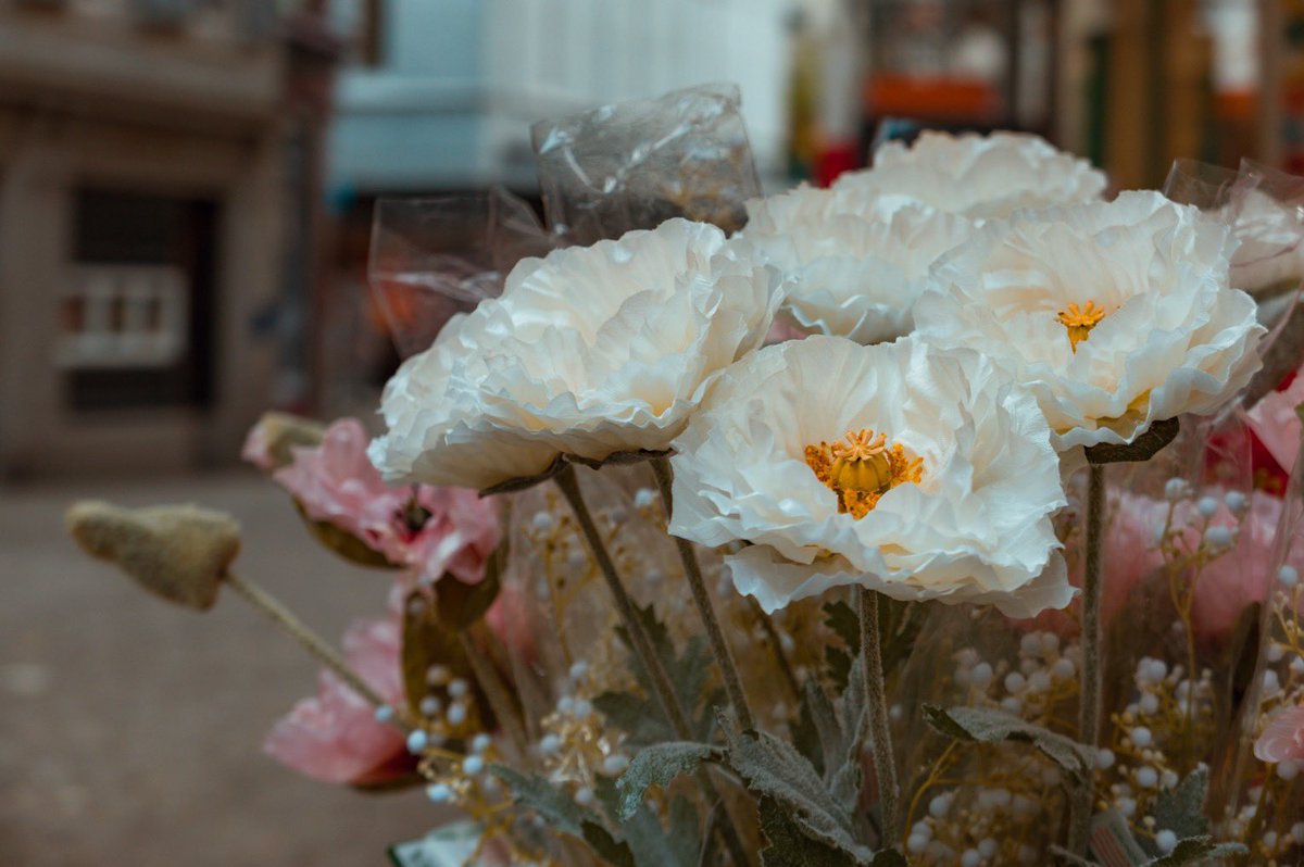 Took the D Lux 8 for a Spin. Thanks to my friends at Leica Store Zurich. Full overview coming to the channel this weekend. 
#Leicaslux8 #dlux8 #leica