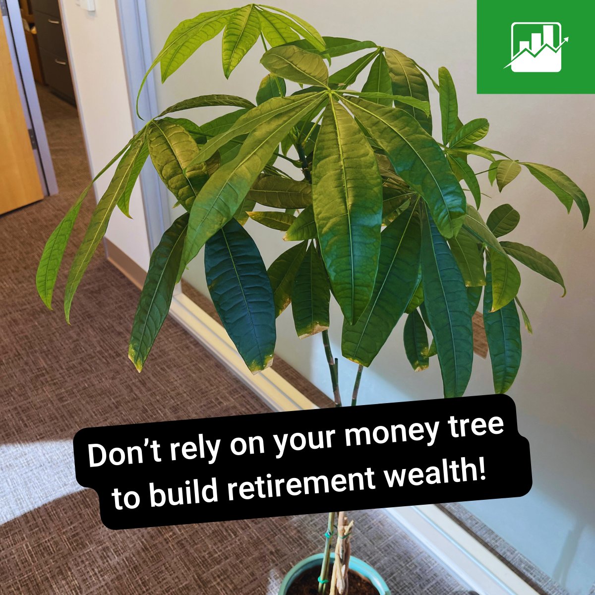 Don't wish on a leafy dream, self-direct your IRA for a secure retirement. Visit our website for more info: hubs.ly/Q02vcVcL0 #iraresources #moneytalk #selfdirected #SDIRA #IRAR