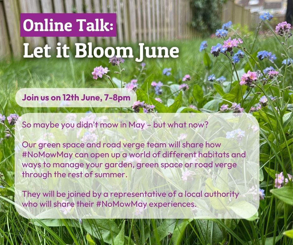 Online talk📢 

#NoMowMay might be over, but that doesn't mean the end for our blooming green spaces. Let it grow a bit longer this #LetItBloomJune!

📆 Wednesday 12th June
⏰ 7-8pm 

Become a member &amp; book your space 
👉 bit.ly/3VozIdE