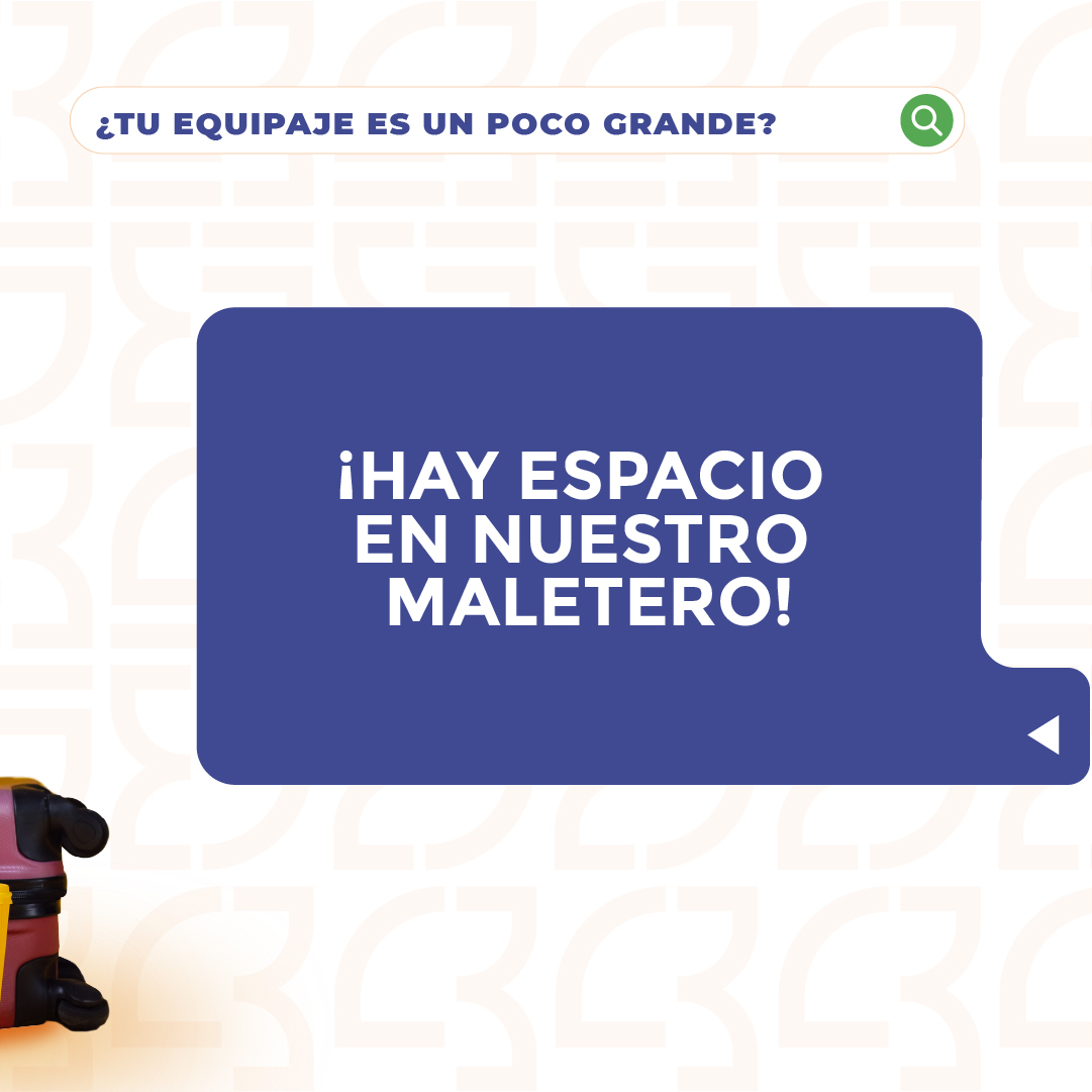 Combuses Aeropuerto tweet media