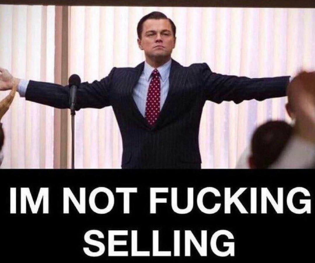 HODL | GameRoaringStreetBetsKittyStop tweet media