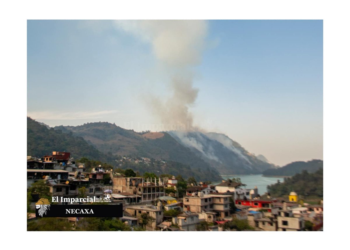 ForgSchizo's tweet photo. NECESITAMOS AYUDA PARA LA SIERRA NORTE DE PUEBLA , LLEVA DIAS INCENDIANDOSE EL BOSQUE Y  SIGUE EXPANDIENDOSE Y NO HAY RESPUESTA DE LAS AUTORIDADES HASTA LA FECHA. @SEMAR_mx @Gob_Puebla zonas, Nuevo Necaxa, Xico y más. Se sigue expandiendo y están muy quietos. https://t.co/9a8mz7EW87