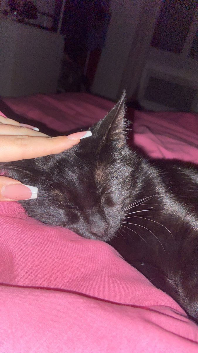 val💋💋 tweet media