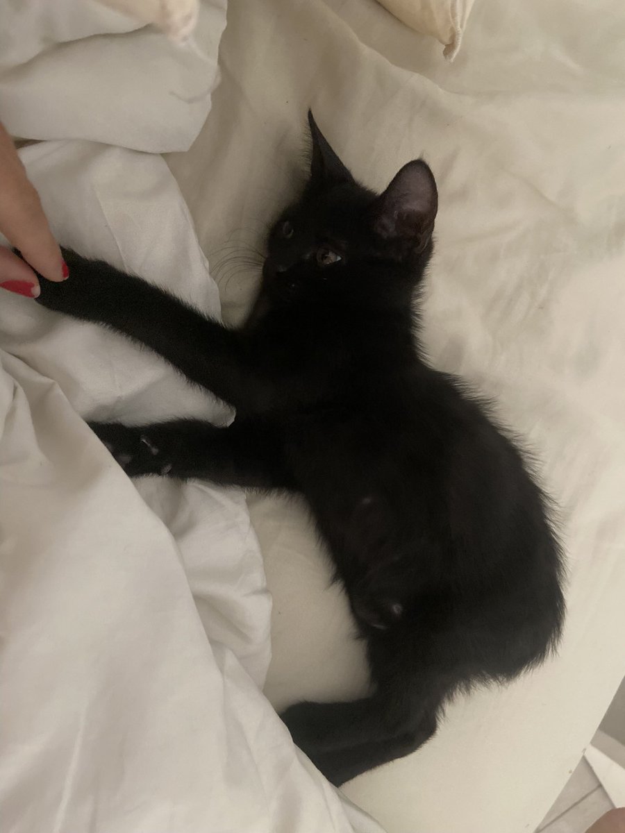 val💋💋 tweet media