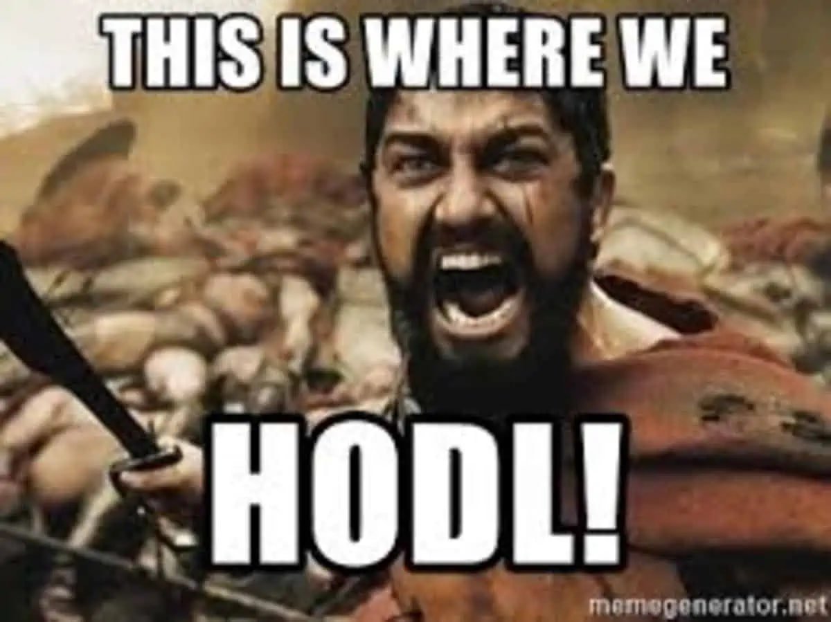 HODL | GameRoaringStreetBetsKittyStop tweet media