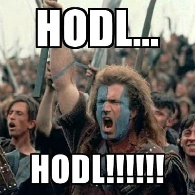 HODL | GameRoaringStreetBetsKittyStop tweet media