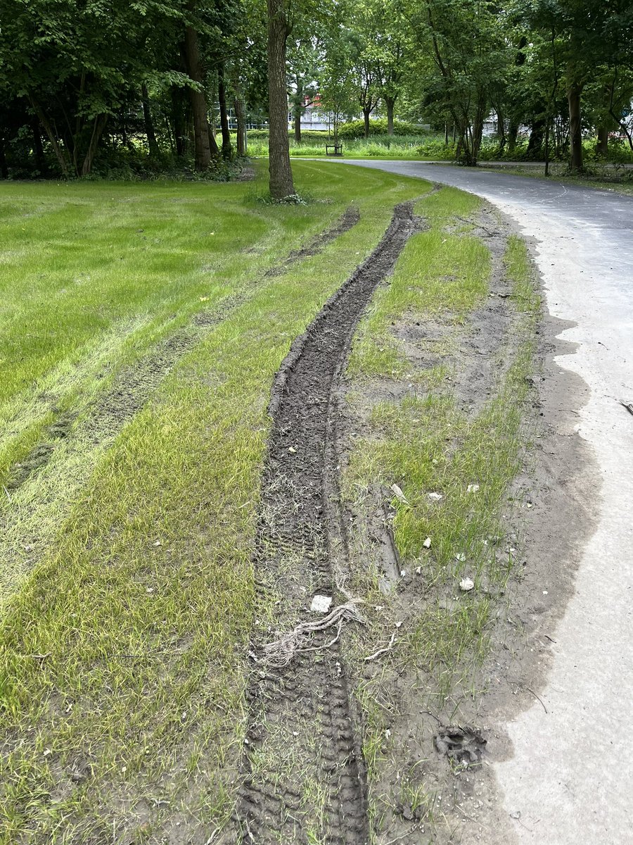 RickdeVries60's tweet photo. @haarlemmermeer Heel goed werk van de professionele grasmaaier die de boel aan flarden rijdt in het gerenoveerde stadspark. Iedereen weet dat grond drassig is na veel regen. Zonde van alle moeite weer! https://t.co/AjrvUP9Xz7