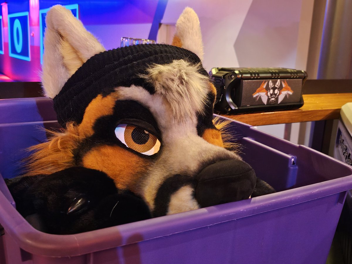 $+Δ+¡K (@foxtraxx) on Twitter photo Statik (<a href="/MadeFurYou/">Made Fur You</a> edition) had his first official public outing on Sunday. Yay!
Bout damn time eh!? I've been dying to see how well he would pair up with this Hockey jersey and it didn't disappoint.
More adventures ahead, like my next post sharing another Fox's adventure. Statik (<a href="/MadeFurYou/">Made Fur You</a> edition) had his first official public outing on Sunday. Yay!
Bout damn time eh!? I've been dying to see how well he would pair up with this Hockey jersey and it didn't disappoint.
More adventures ahead, like my next post sharing another Fox's adventure.