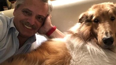 MauroBuffon tweet media