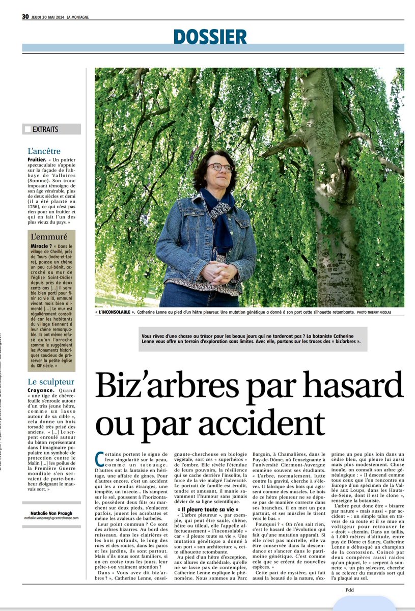 Lenne tweet media