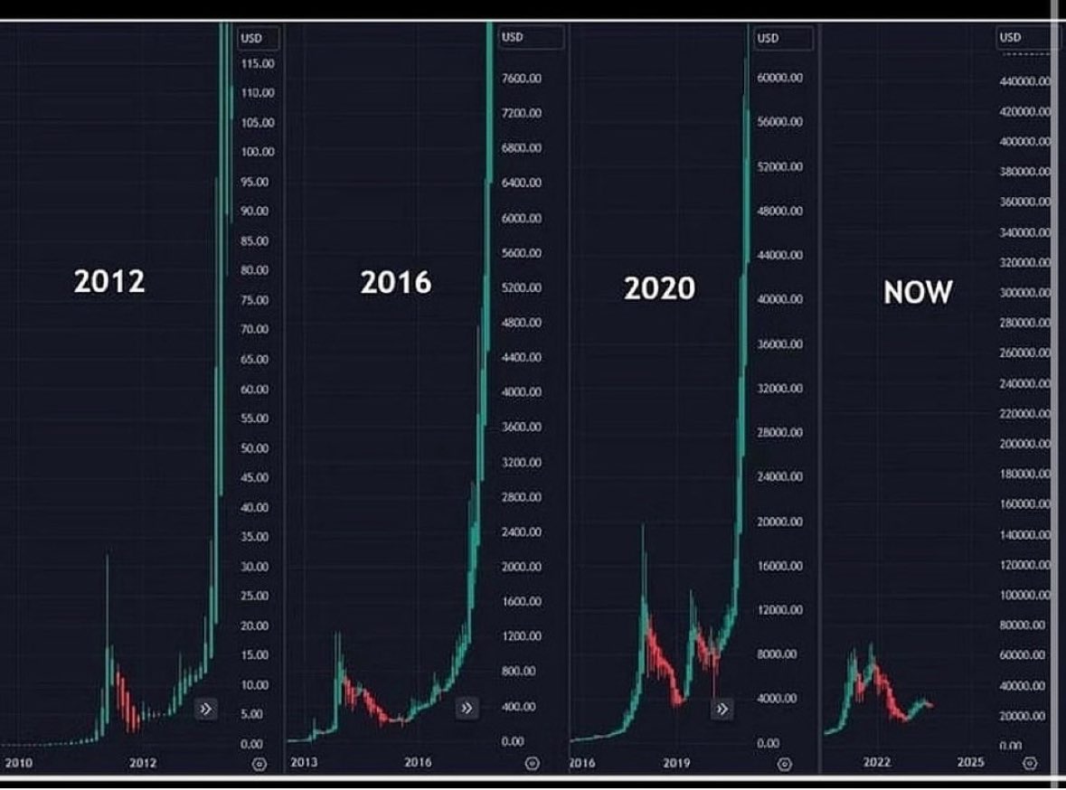 cryptologyKito's tweet image. You're either a lion or a gazelle. The lion chases its goals with fierce determination, while the gazelle spends its life running from its fears. Which one are you?

$GPU $HASHAI $OXO $INFRA $DSYNC $ATOR $CREO