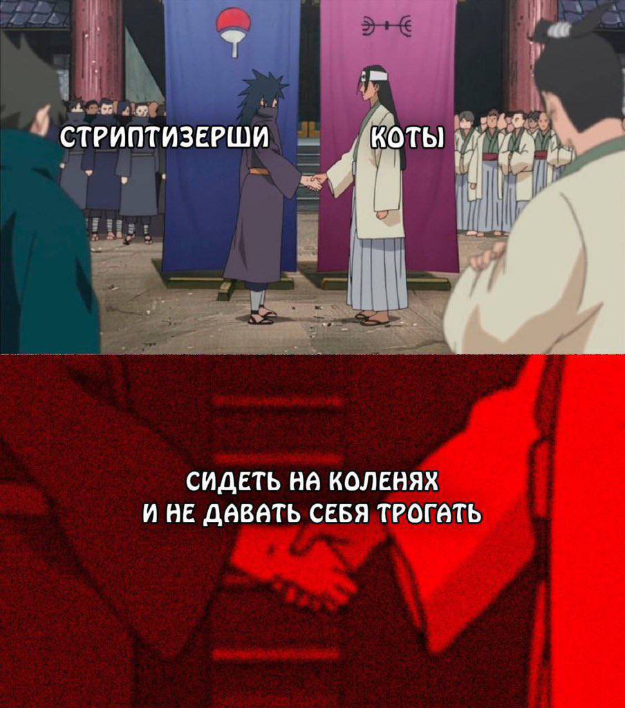 любаша🌸 (@lunese_me) on Twitter photo 