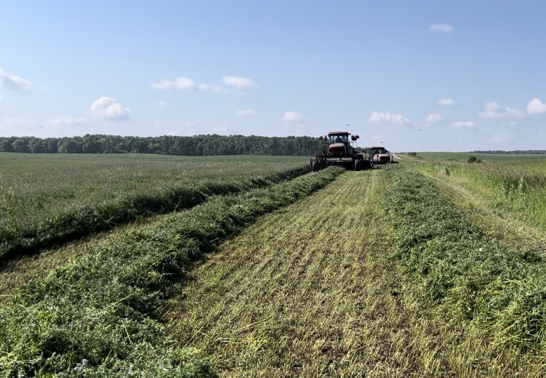 Ryan Patterson tweet media