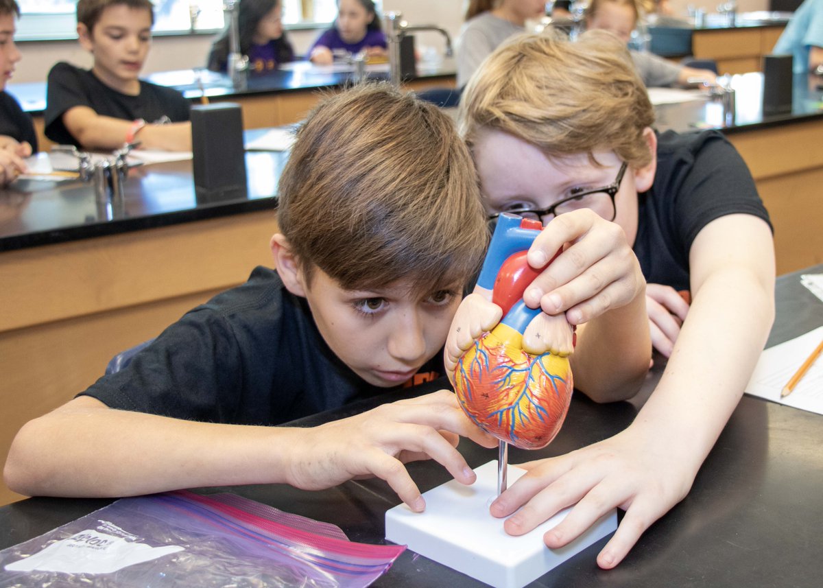 🔬 Calling all science educators &amp; grad students! Want to be a part of our Division A test writing committee? Help us create engaging tests for Backyard Biologist, Data Crunchers, Ecology Experts, Rock Star &amp; Supersleuths! 

📝 Sign up by June 14th at forms.gle/rpjZ3dUAXSxxAc…