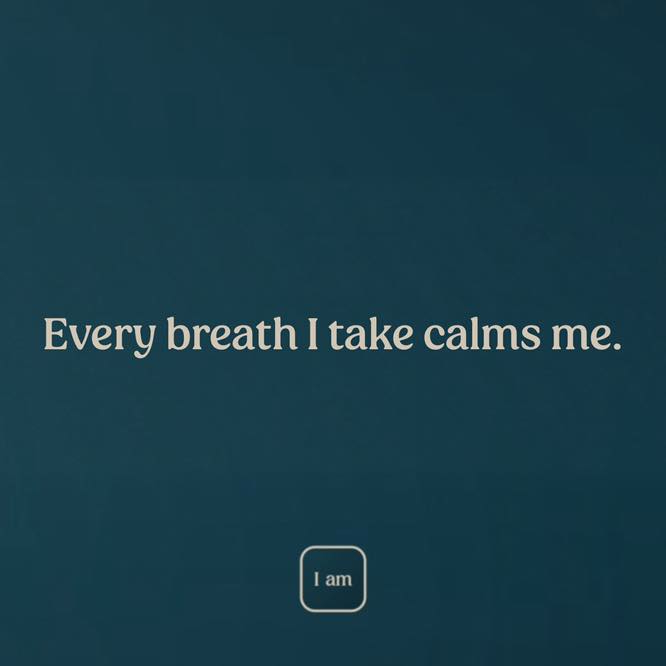 Each breath brings calm... #affirmations #lawofattraction #positivity #manifestation #mindfulness #meditation #spirituality #inspiration #selfcare #selflove #positivethinking #goodvibes
