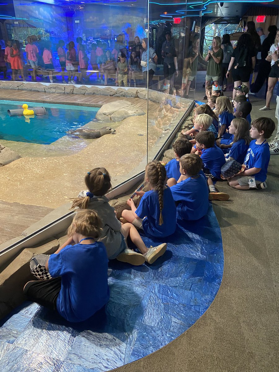 Hunter’Rose Zink (@mrs_zink) on Twitter photo Firsties had a FINtastic time at Jenkinsons Aquarium! 🐠 We got to learn all about different sea animals 💙 <a href="/NavesinkSchool/">Navesink School</a> <a href="/MrJesseHerbert/">Jesse Herbert</a> <a href="/MTPSpride/">Middletown Township Public Schools</a> Firsties had a FINtastic time at Jenkinsons Aquarium! 🐠 We got to learn all about different sea animals 💙 <a href="/NavesinkSchool/">Navesink School</a> <a href="/MrJesseHerbert/">Jesse Herbert</a> <a href="/MTPSpride/">Middletown Township Public Schools</a>