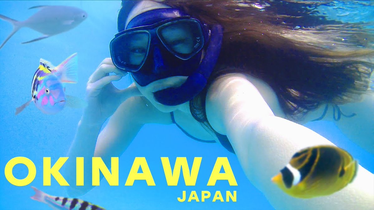 alojapan's tweet image. Explore Japan's Island Paradise- ...
 
alojapan.com/1066088/explor…
 
#AsianVlogger #CapcutTutorial #CINEMATICVLOG #ExploreOkinawa