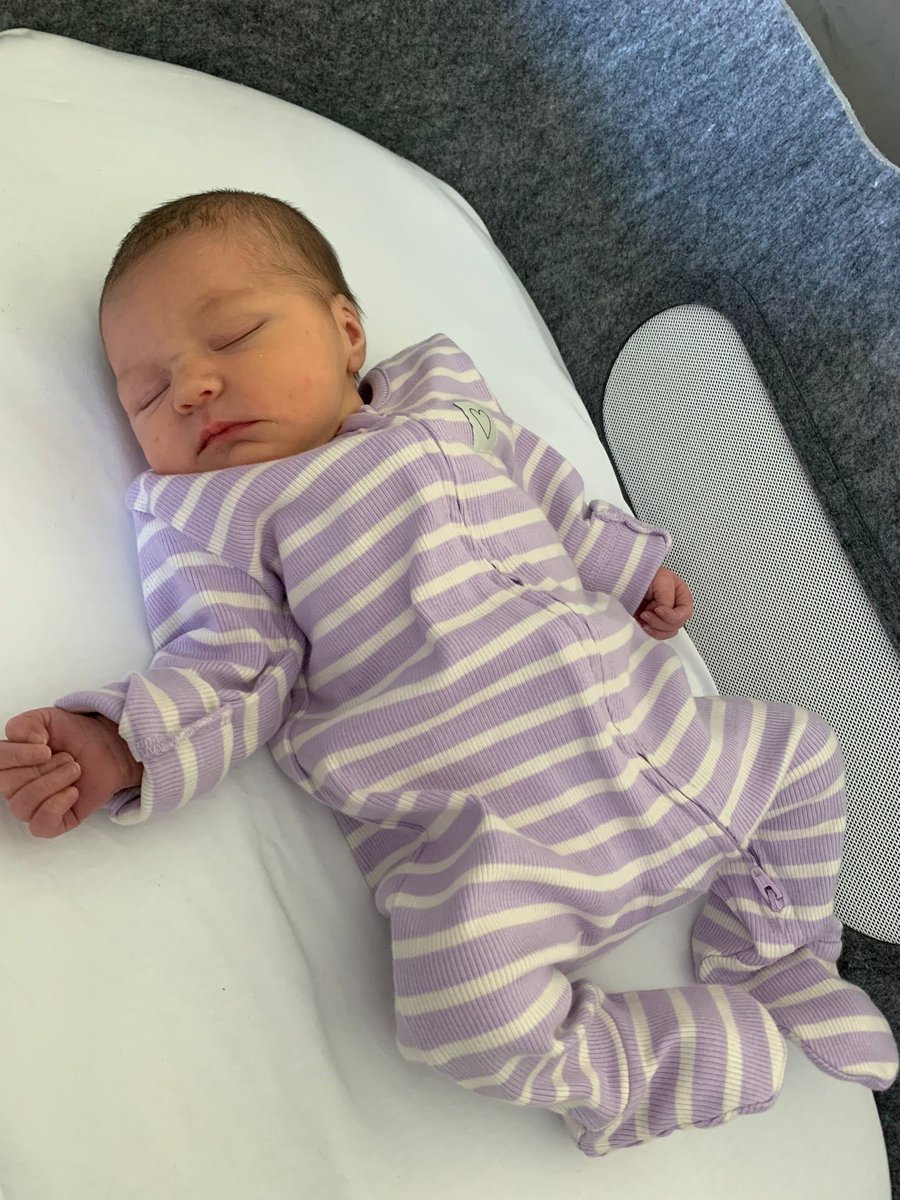 Scott Wilson tweet media