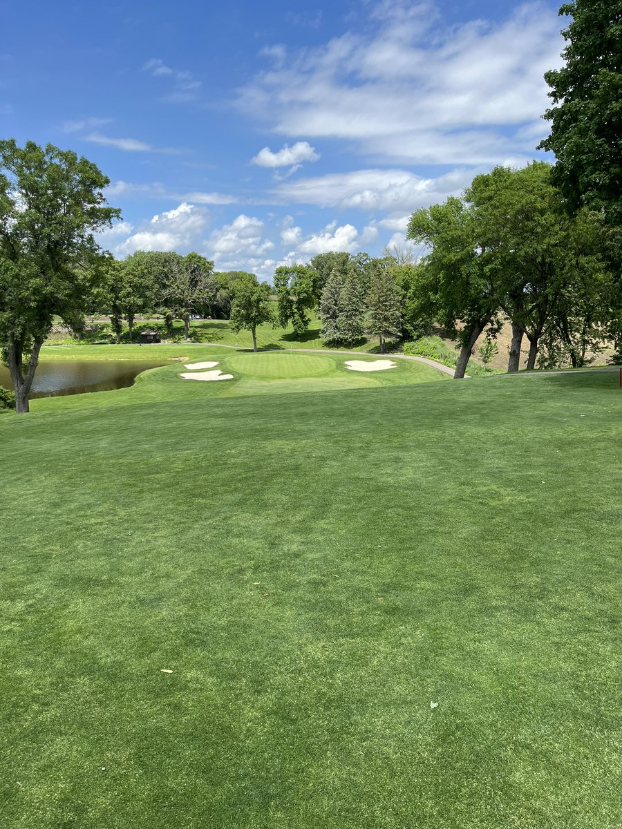 CE Golf Design tweet media