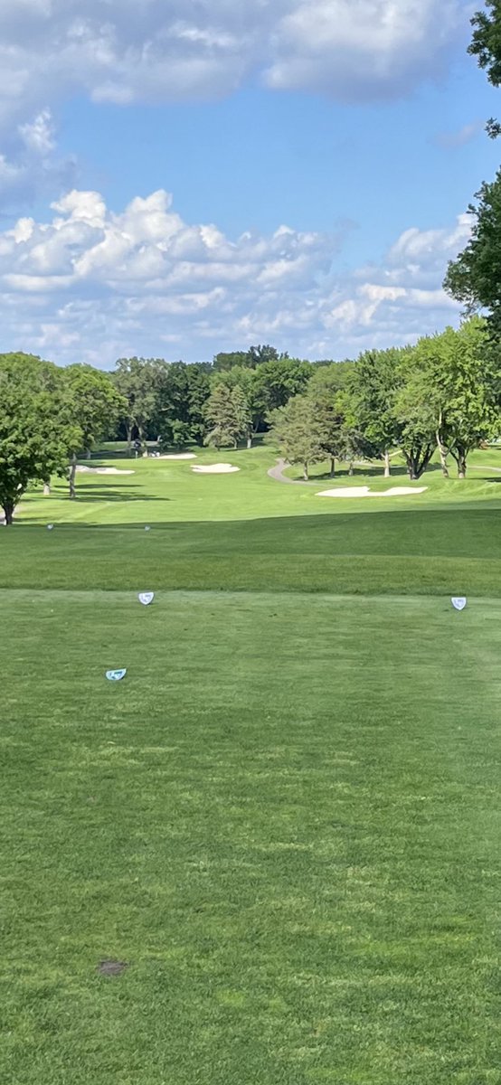 CE Golf Design tweet media