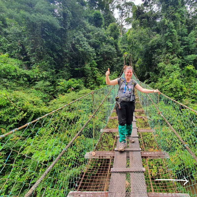 Cambridge_Uni's tweet photo. This #WorldEnvironmentDay, we spoke to our climate researchers who are all working to restore lands and forests 🌿🌎

Discover more about the work of Dr Charlotte Wheeler, @K_Alexopoulos_ and @ClimateInColour 👇

#WED2024 @CambridgeZero