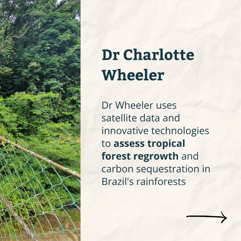 Cambridge_Uni's tweet photo. This #WorldEnvironmentDay, we spoke to our climate researchers who are all working to restore lands and forests 🌿🌎

Discover more about the work of Dr Charlotte Wheeler, @K_Alexopoulos_ and @ClimateInColour 👇

#WED2024 @CambridgeZero