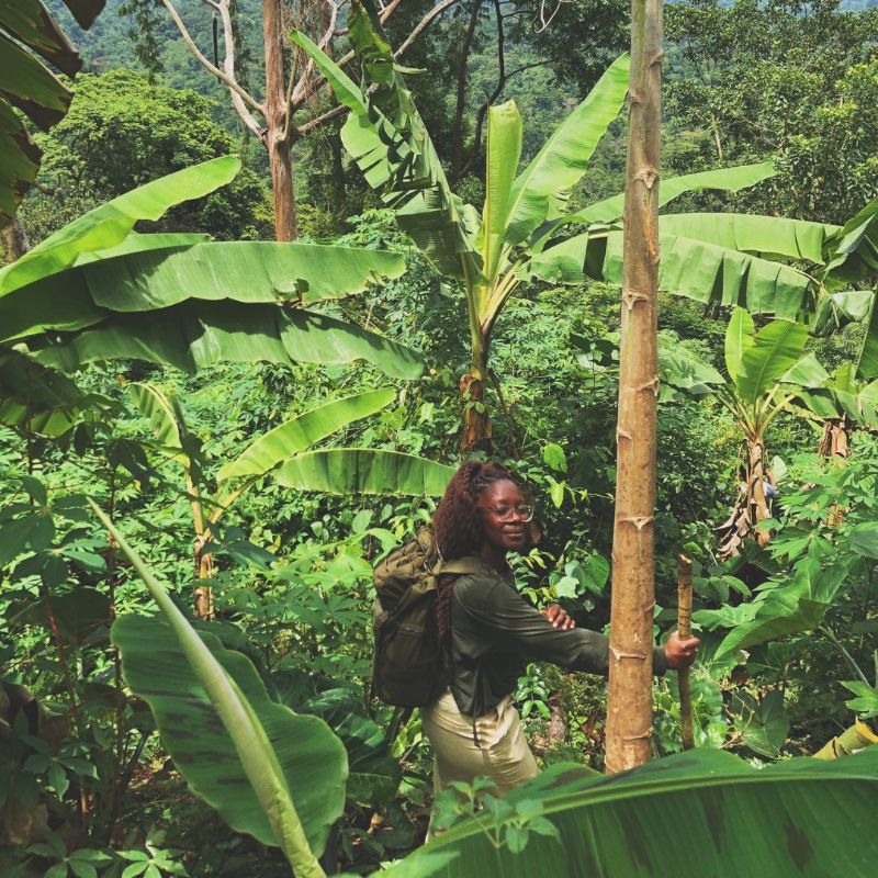 Cambridge_Uni's tweet photo. This #WorldEnvironmentDay, we spoke to our climate researchers who are all working to restore lands and forests 🌿🌎

Discover more about the work of Dr Charlotte Wheeler, @K_Alexopoulos_ and @ClimateInColour 👇

#WED2024 @CambridgeZero