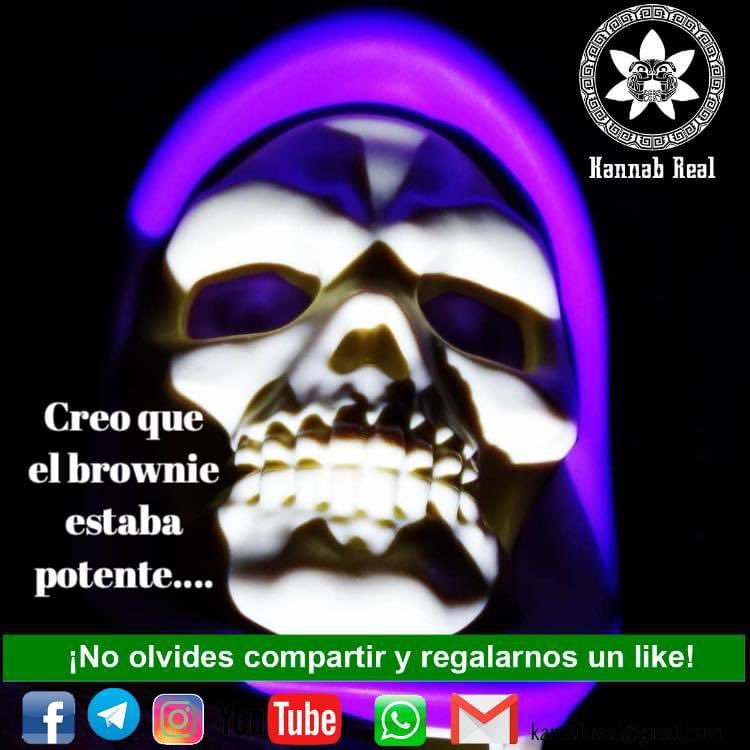KannabReal's tweet photo. Se te apareció la pálida?  #brownie #palida #pálida #KannabRealMedicinal #PotenciaCalidadyPrecio #consultoriocannabico #cannabismedicinal #cannabislifestyle #CannabisLegalYa #saludybienestar #cannabislife #hierberitocilindrero #charlasverdes #420mexico #w33d https://t.co/rkHhPoRbRM