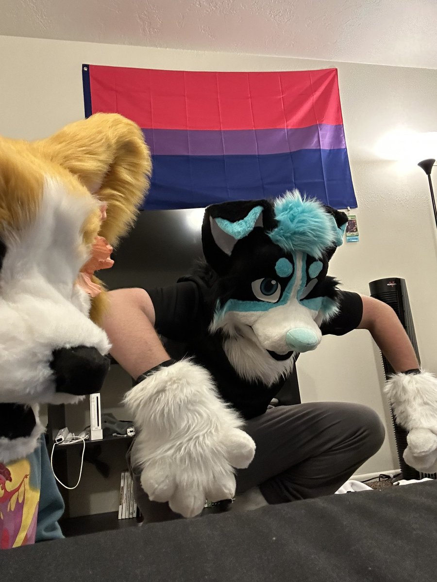 MY BOY ARRIVED YESTERDAY!!! 

I will forever be thankful for <a href="/koshkafursuits/">Koshka Fursuits</a> for bringing him to life, I still can’t believe I have him