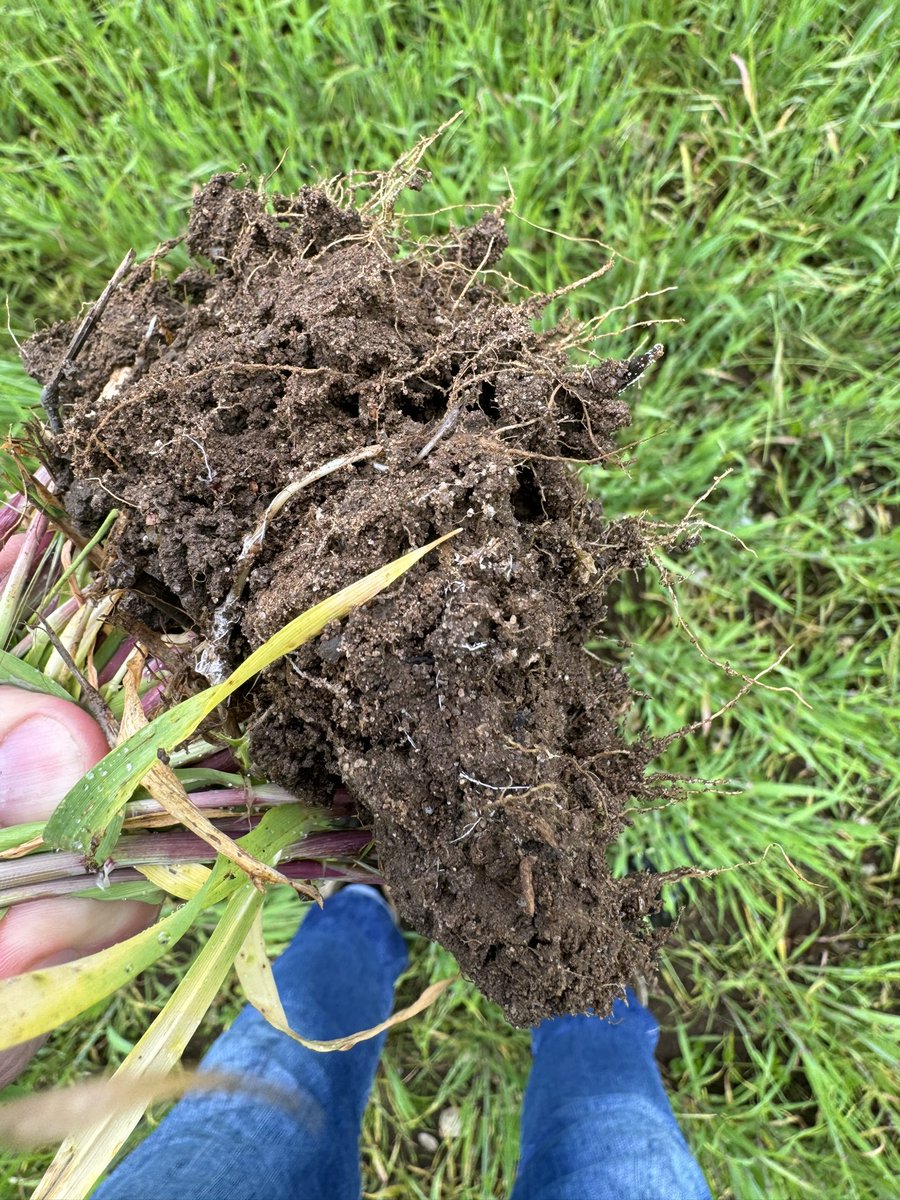 John Pawsey 🌞 tweet media