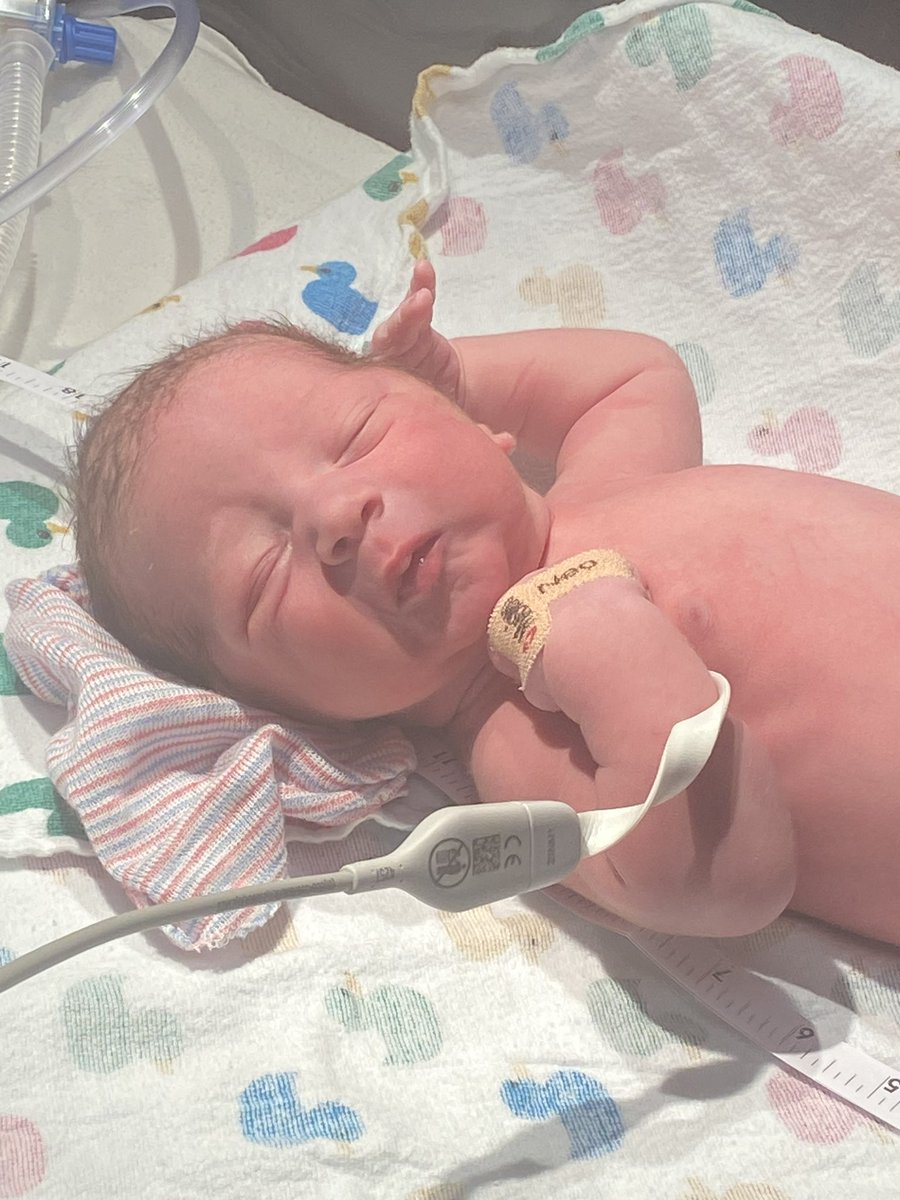 Sarah Brittni tweet media