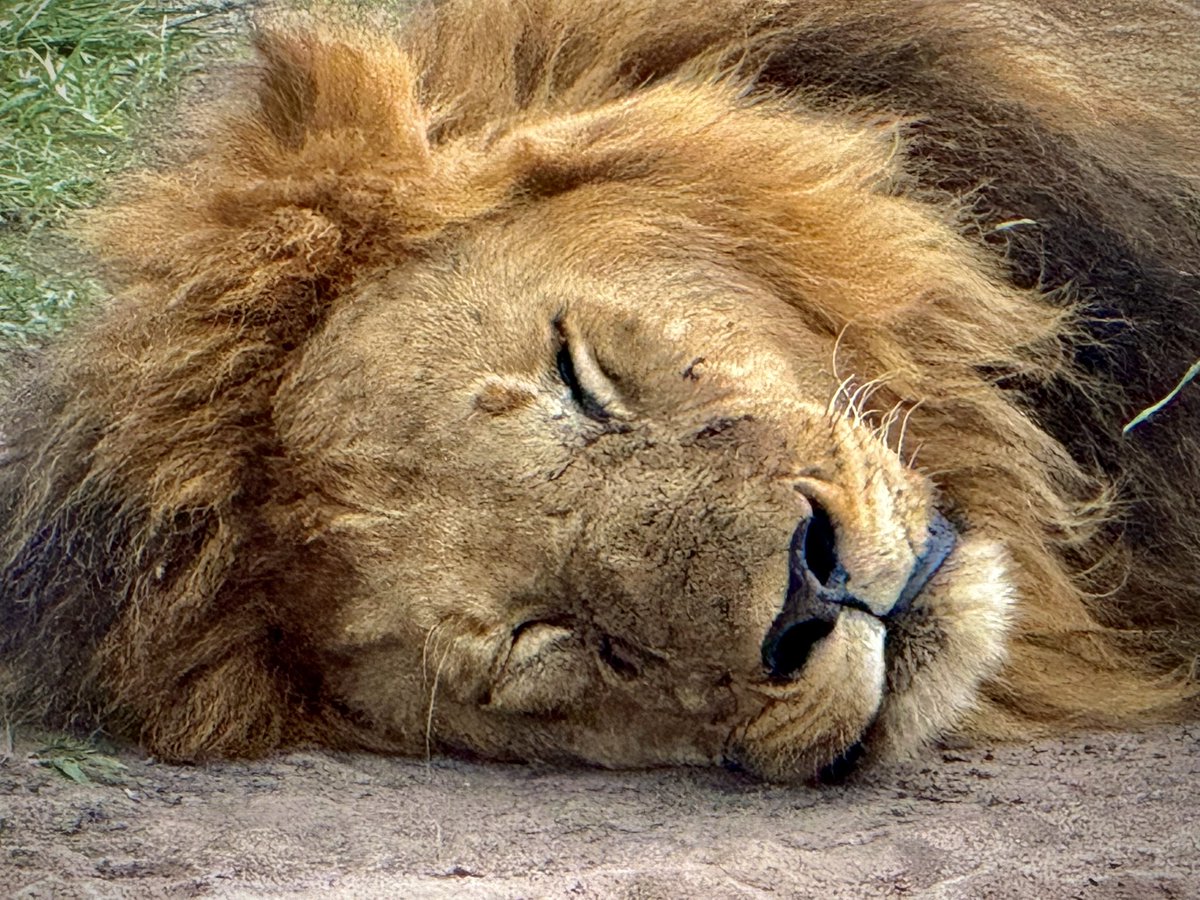 Luke David 🇺🇸 tweet media