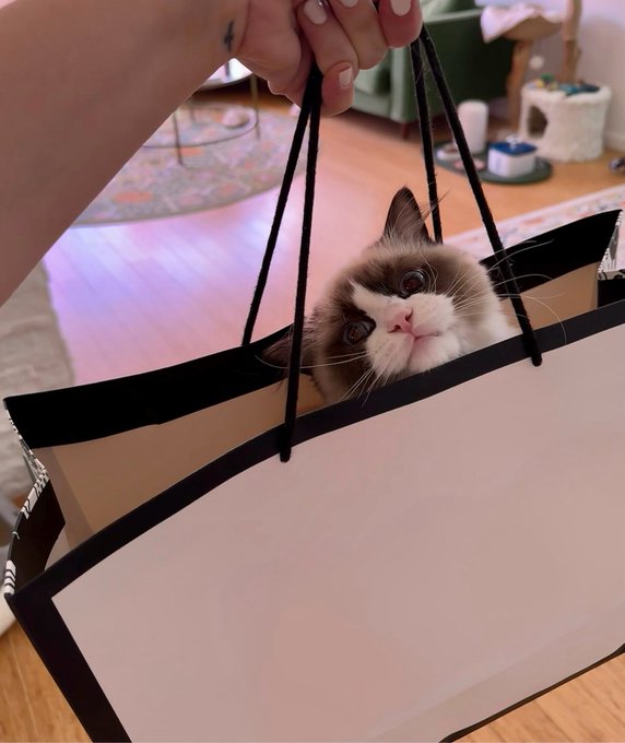 i got u a gift https://t.co/KFx6o0Q3Zf