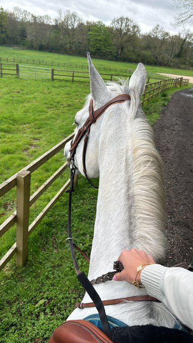 Creating my own matrix https://t.co/glpA4UD9Dx