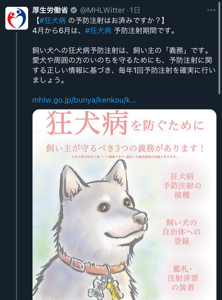 KamiHistory tweet picture